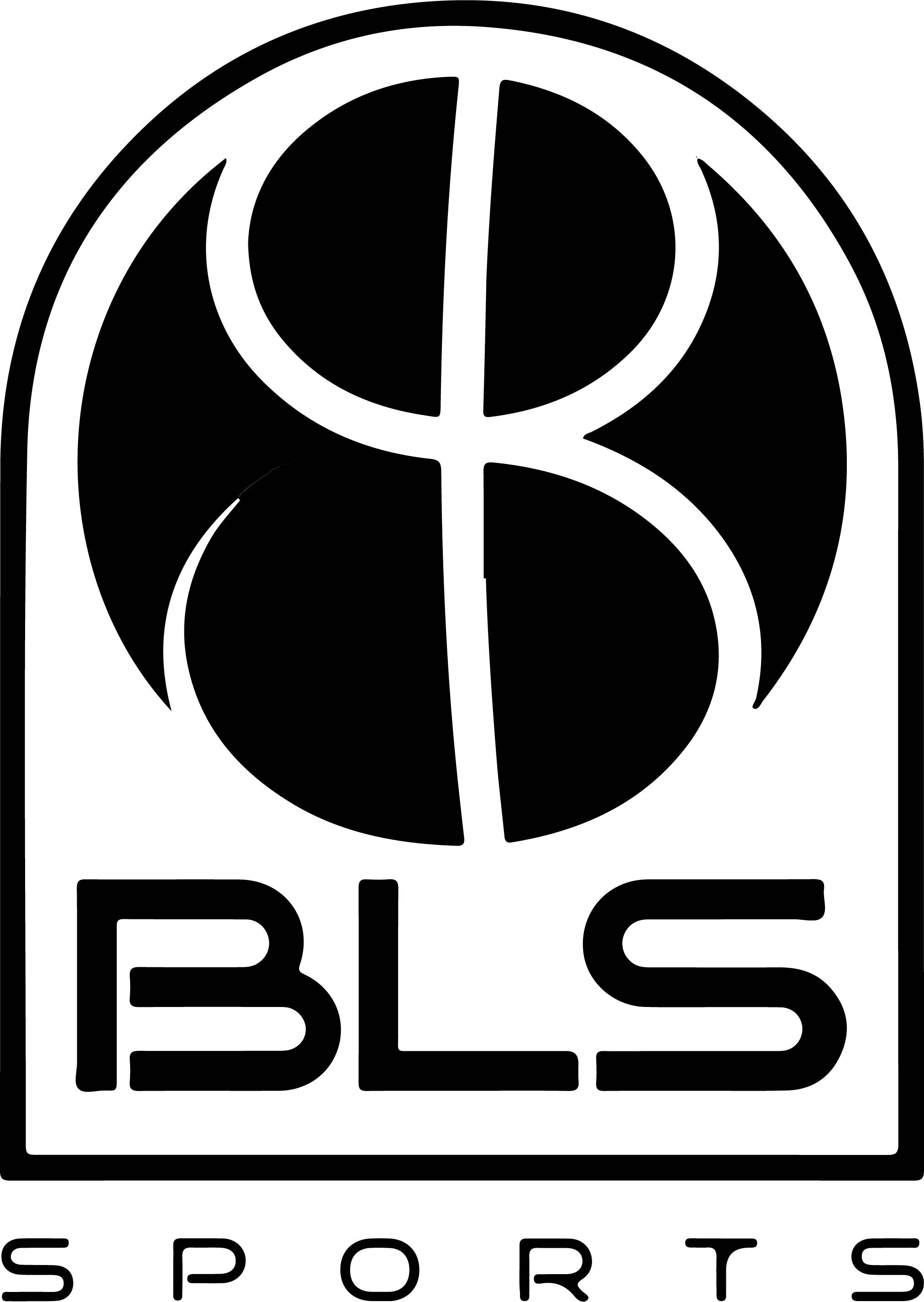 Logo BLS Sports